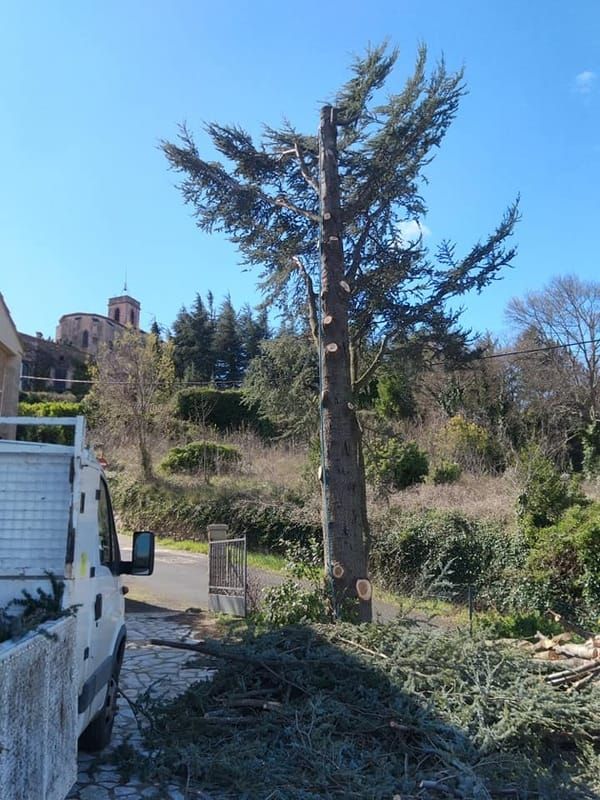 Entretien de Jardins Clermont-l'Hérault