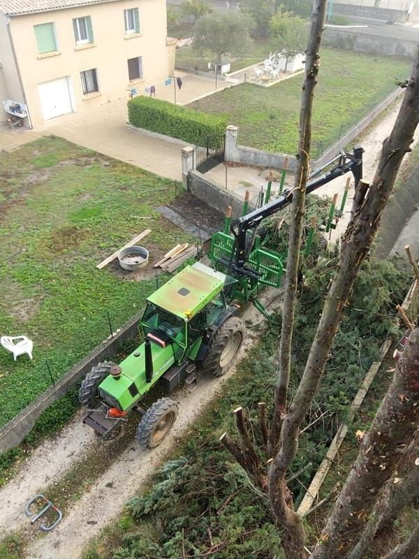 Élagage d'arbres Clermont-l'Hérault