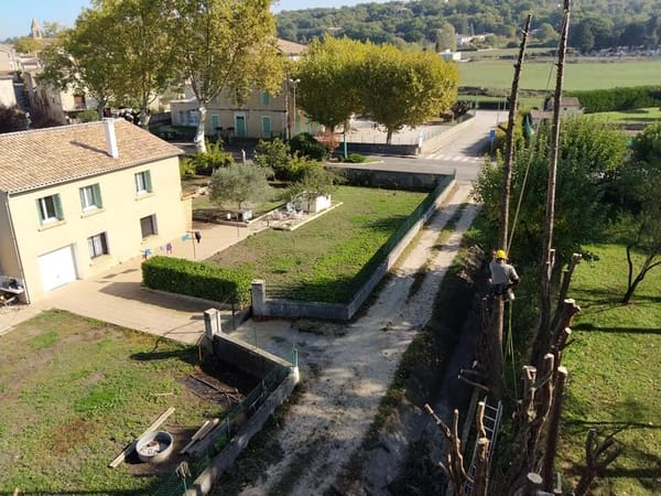 Abattage d'arbres dangereux Béziers