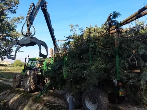 Élagage d'arbres Béziers